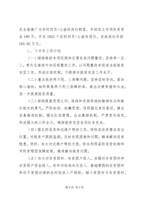 扶贫办XX年上半年工作总结及下半年工作计划.docx