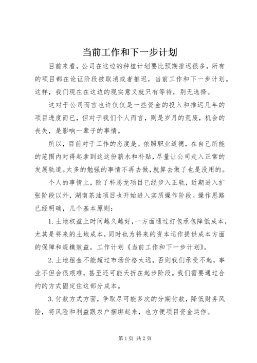 当前工作和下一步计划.docx