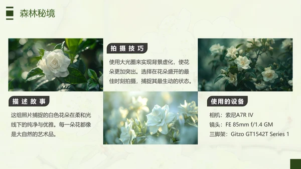 绿色简约风摄影师个人作品集PPT模板