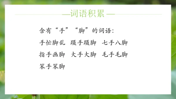 统编版语文五年级下册第七单元（课件）