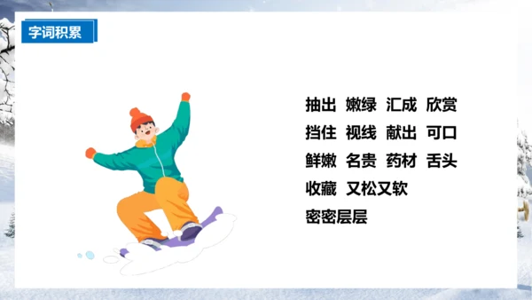 第20课《美丽的小兴安岭》（课件）