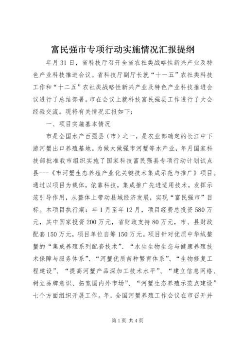 富民强市专项行动实施情况汇报提纲.docx