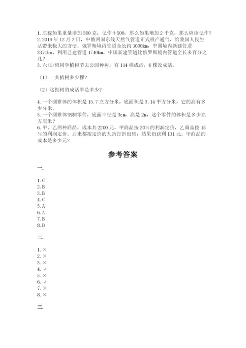 人教版小升初数学模拟试卷【精练】.docx