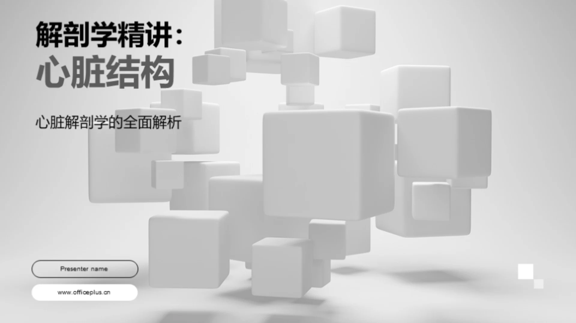 解剖学精讲：心脏结构