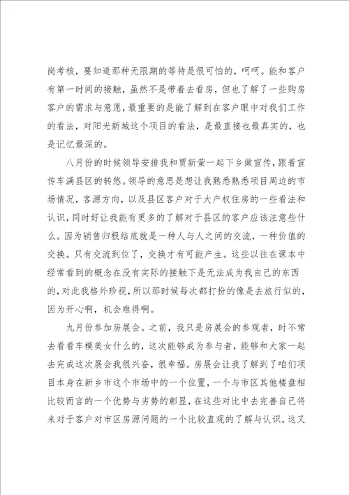 房地产置业顾问工作总结4篇