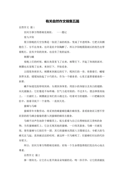 有关自然作文锦集五篇.docx