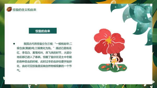 七星瓢虫惊蛰PPT模板