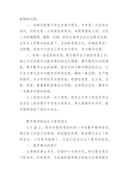 数学教师的成长之路感悟.docx