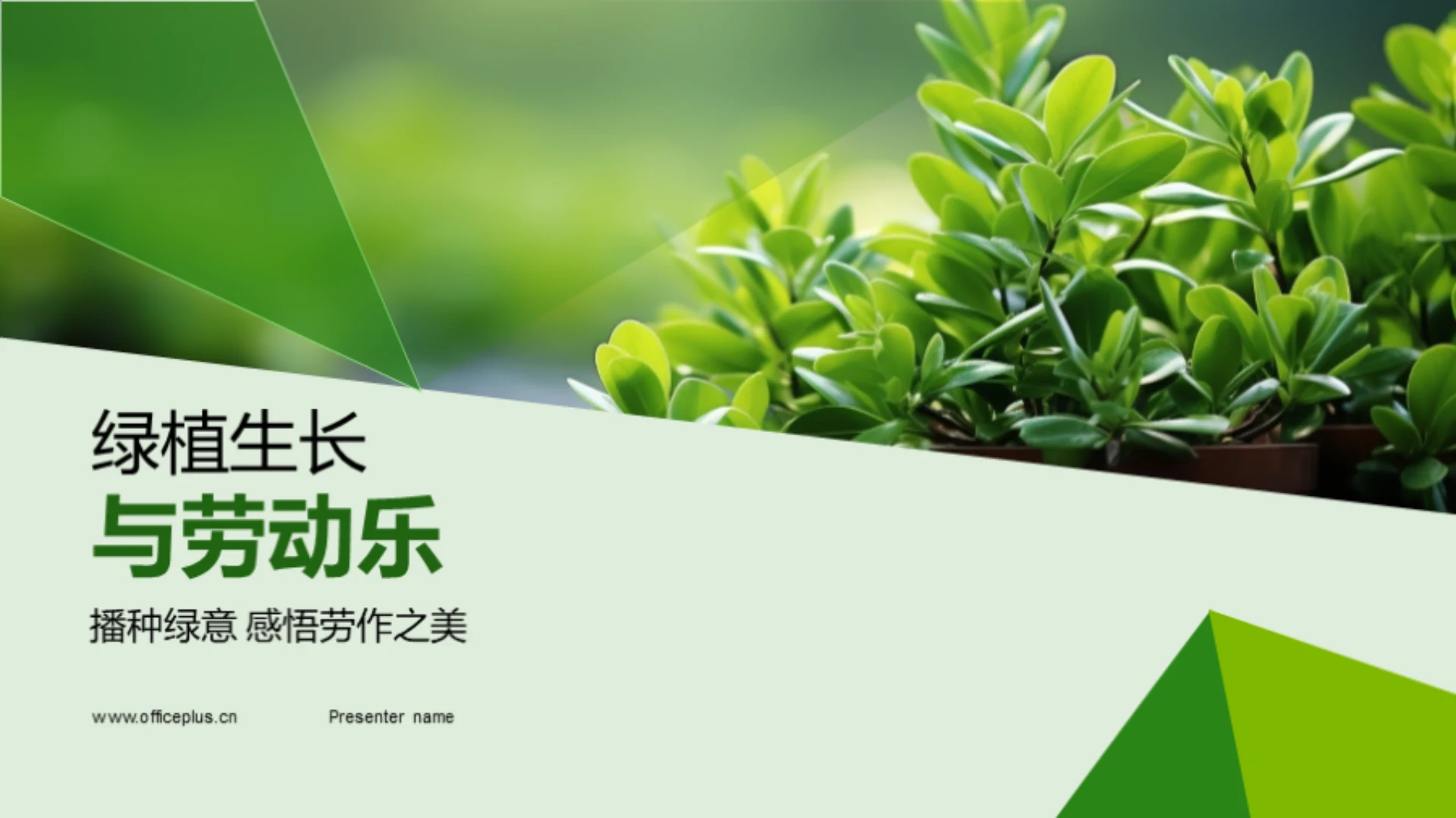 绿植生长与劳动乐