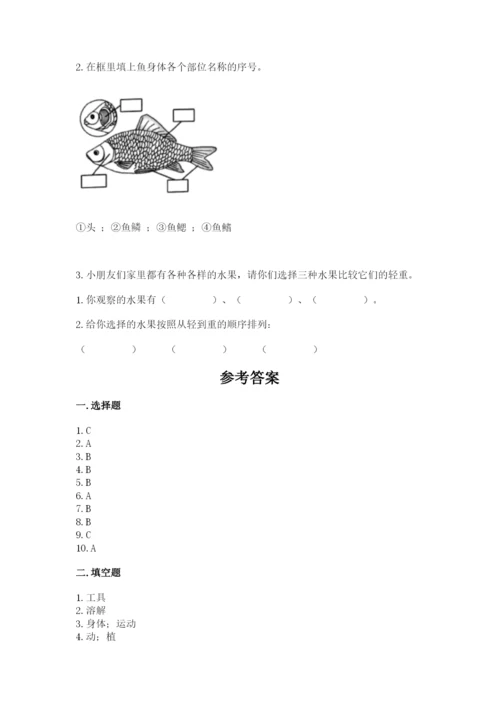 教科版一年级下册科学期末测试卷【名校卷】.docx