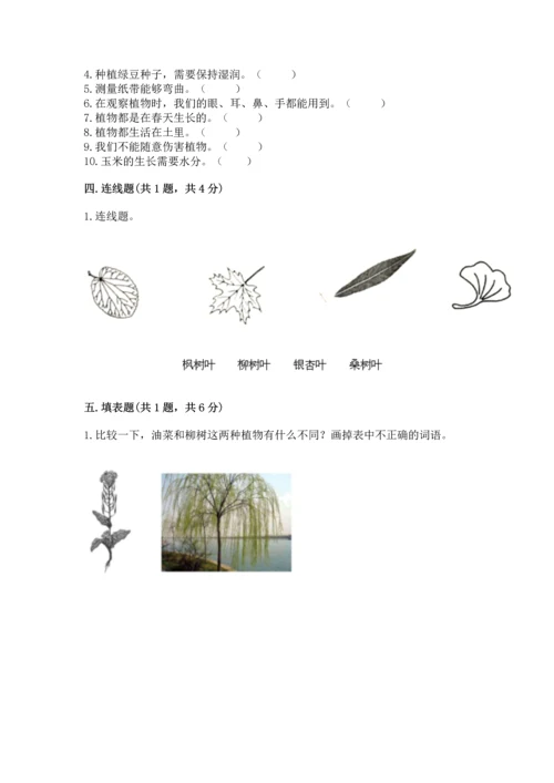 教科版一年级上册科学期末测试卷附参考答案（轻巧夺冠）.docx