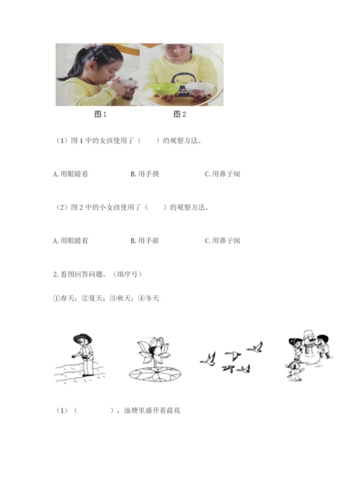 教科版科学二年级上册《期末测试卷》精品（考点梳理）.docx