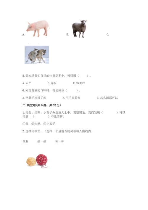 教科版小学科学一年级下册期末测试卷附完整答案【网校专用】.docx