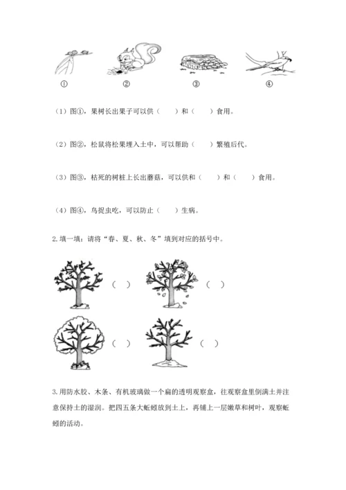 教科版二年级上册科学期末测试卷含答案【新】.docx