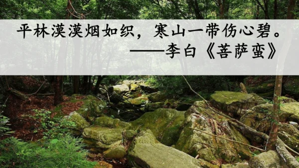 23祖先的摇篮（课件）