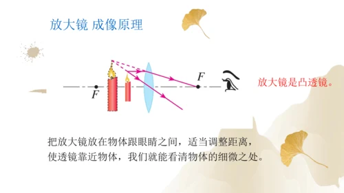 5.2生活中的透镜（课件）(共21张PPT) -2023-2024学年八年级物理上册同步精品课堂（人