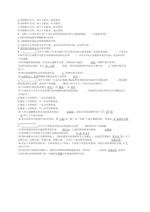 七年级生物下册12 1神经系统与神经调节练习2新版北师大版