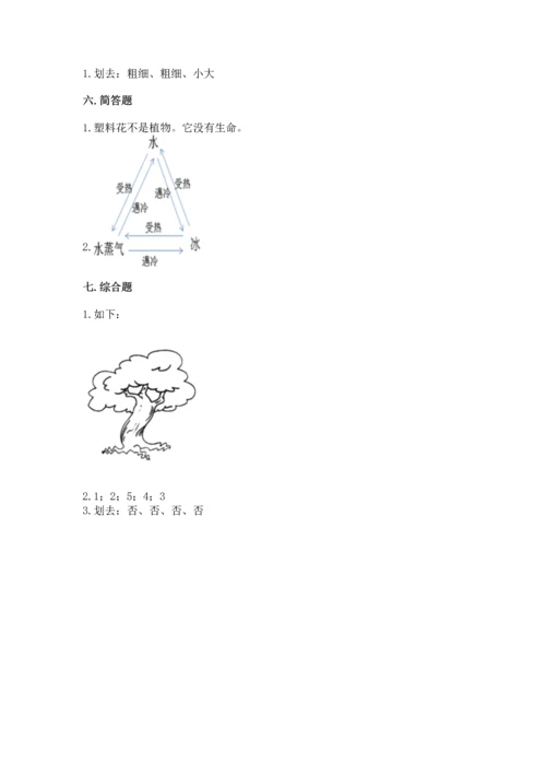 教科版科学一年级上册第一单元《植物》测试卷及答案（考点梳理）.docx