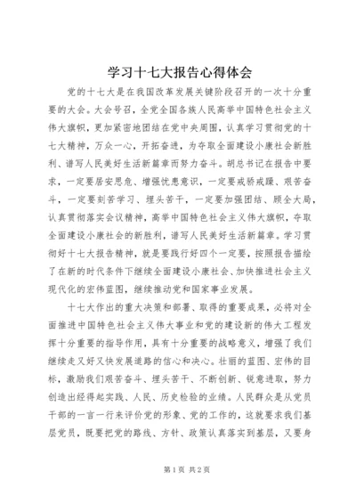 学习十七大报告心得体会 (13).docx