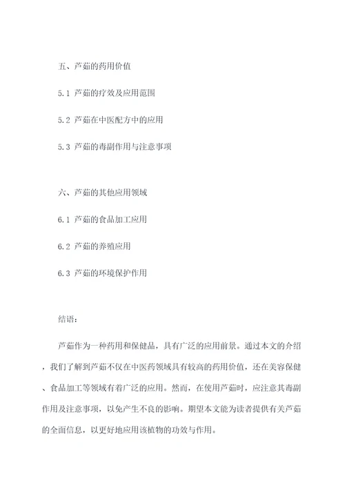 芦茹的功效与作用