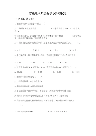 苏教版六年级数学小升初试卷含答案（夺分金卷）.docx