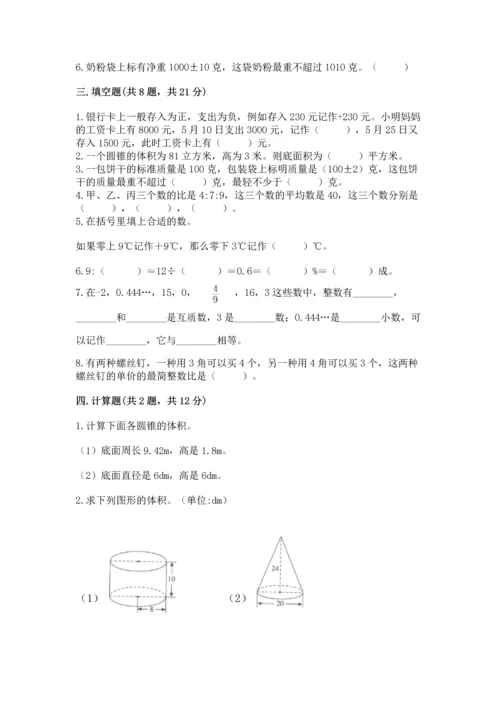 人教版六年级下册数学期末测试卷及答案（典优）.docx