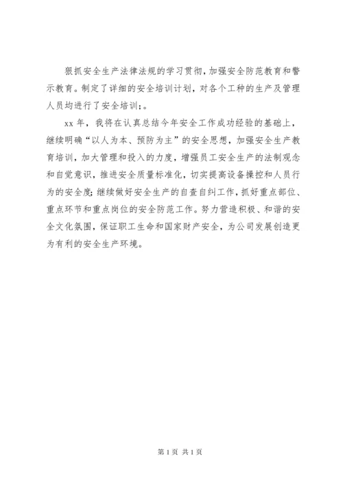 企业XX年安全生产工作总结及XX年工作计划 (2).docx