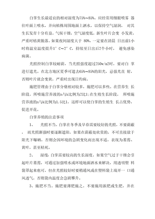 白掌养殖方法及注意事项