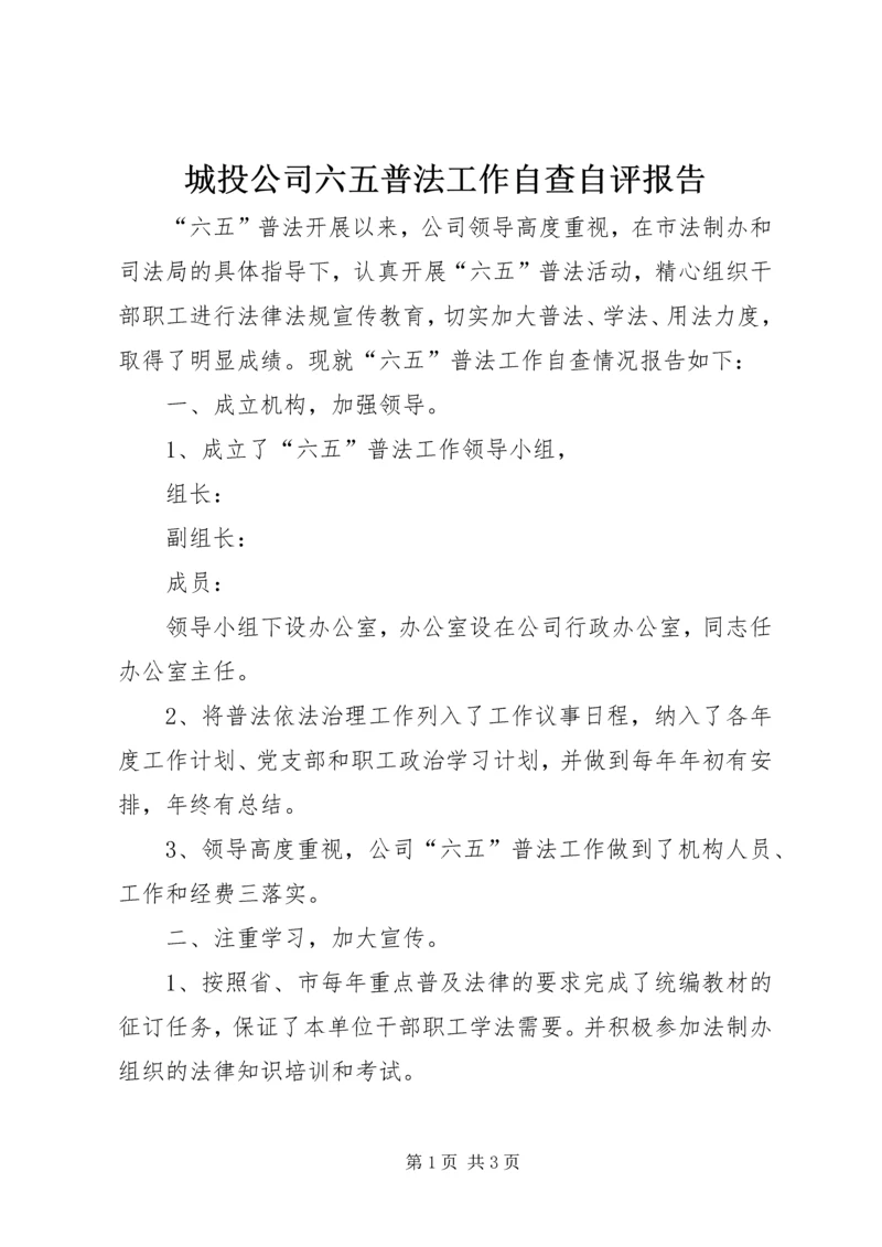 城投公司六五普法工作自查自评报告.docx