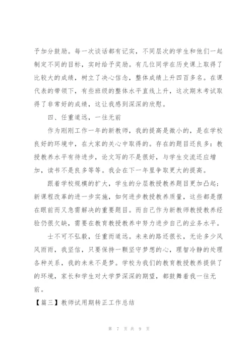 教师试用期转正工作总结怎么写.docx