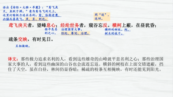 第12课《与朱元思书》课件