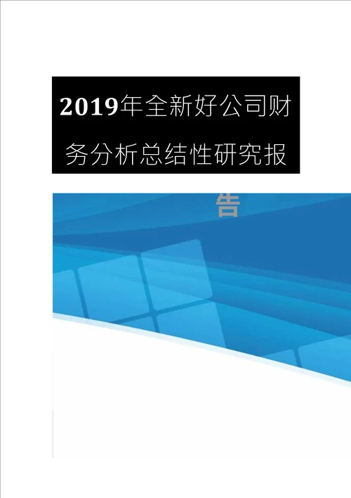 2019年全新好公司财务分析总结性研究报告