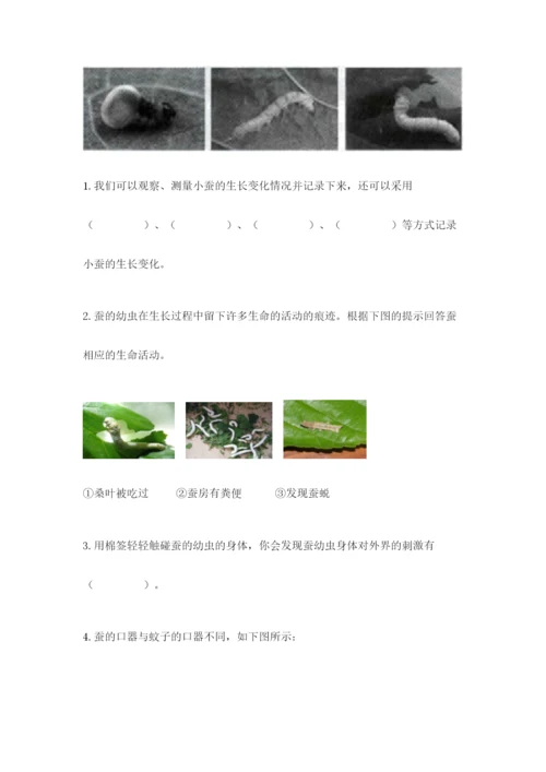 教科版小学科学三年级下册 期末测试卷（轻巧夺冠）.docx