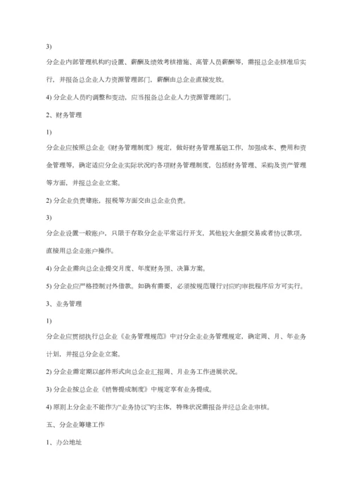 公司筹建方案.docx