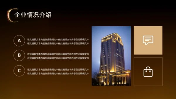 黑金风房地产融资计划书通用PPT模板