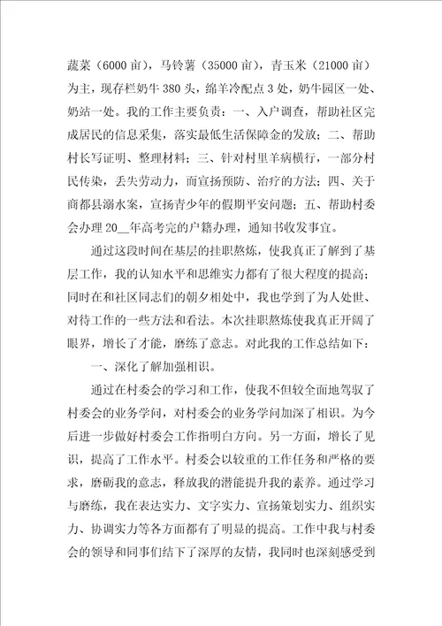 农村个人挂职工作总结优秀9篇