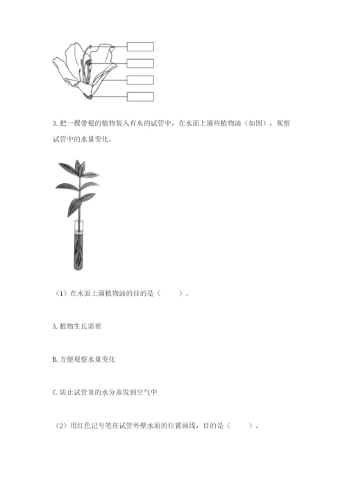 科学四年级下册第一单元《植物的生长变化》测试卷【必刷】.docx