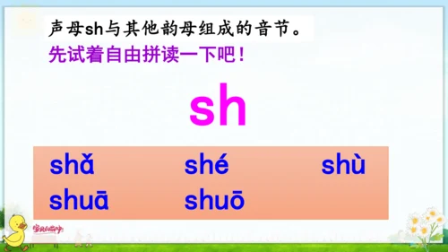 汉语拼音8 zh ch sh r 课件