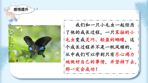 22.小毛虫（第二课时）教学课件