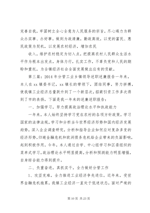 乡镇分管领导个人述职报告.docx