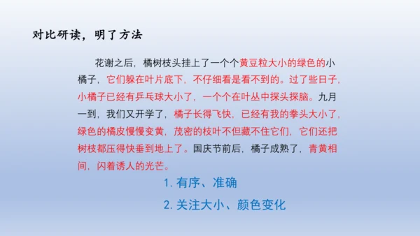 【名师课件】三年级上册语文第五单元习作：我们眼中的缤纷世界   课件