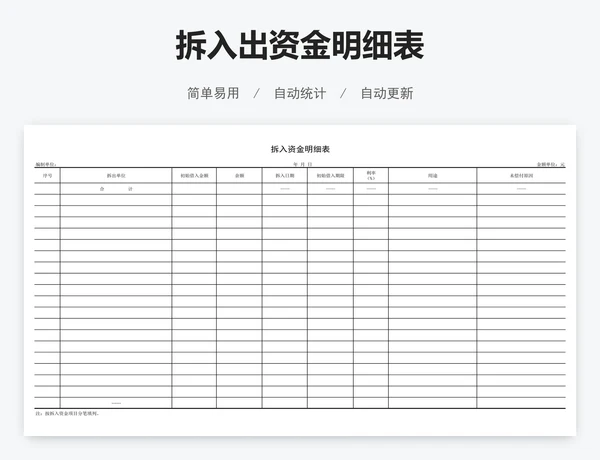 拆入出资金明细表