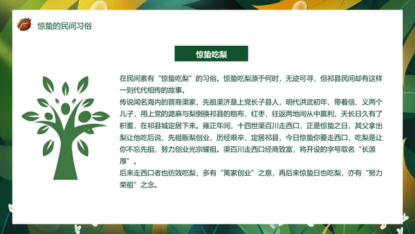 七星瓢虫惊蛰PPT模板