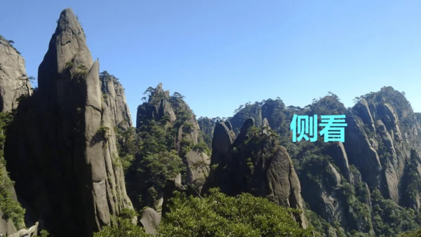 9. 古诗三首 第二课时 课件