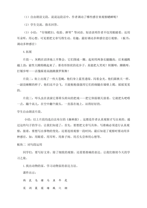 【核心素养目标】统编版四上《语文园地三》教案
