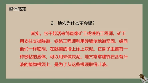 八年级下册蝉课件PPT模板