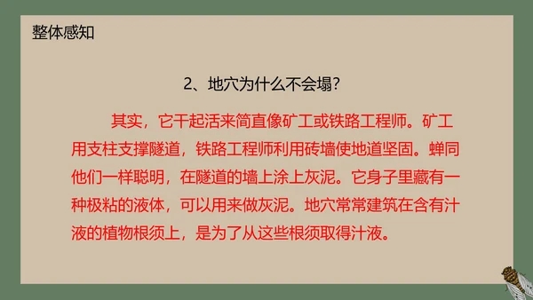 八年级下册蝉课件PPT模板