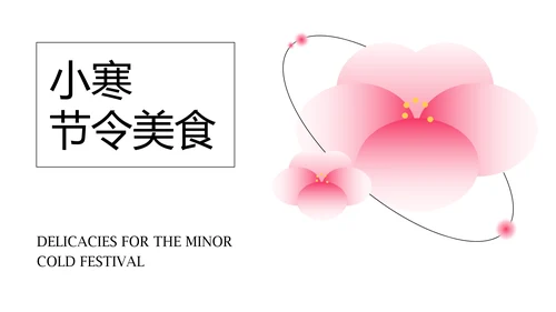 中国风粉色梅花主题小寒节气介绍PPT