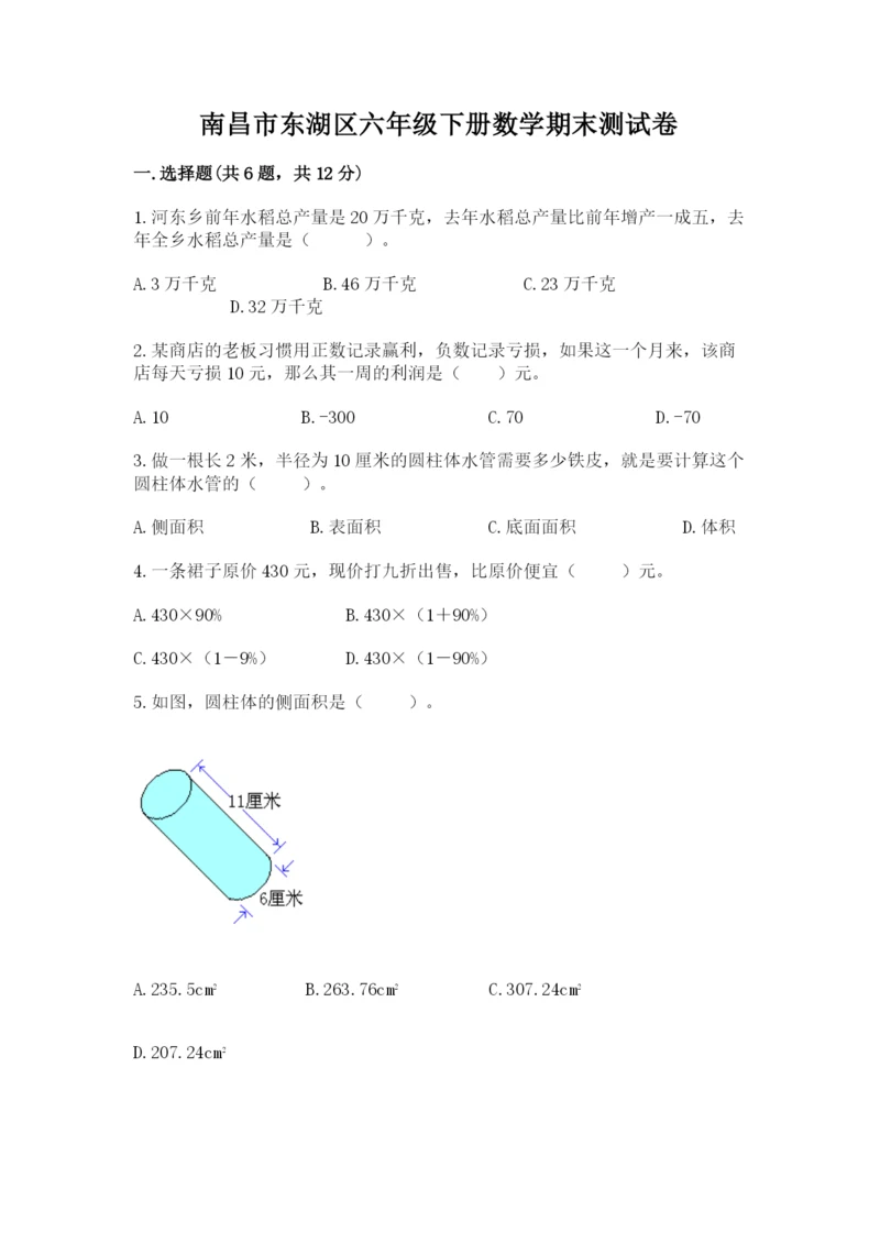 南昌市东湖区六年级下册数学期末测试卷及完整答案一套.docx