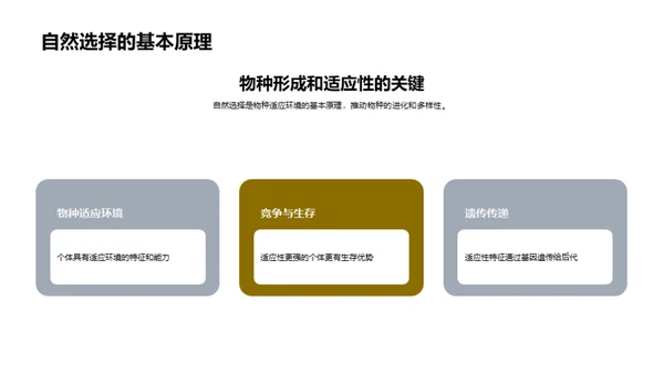 探索生物进化奥秘